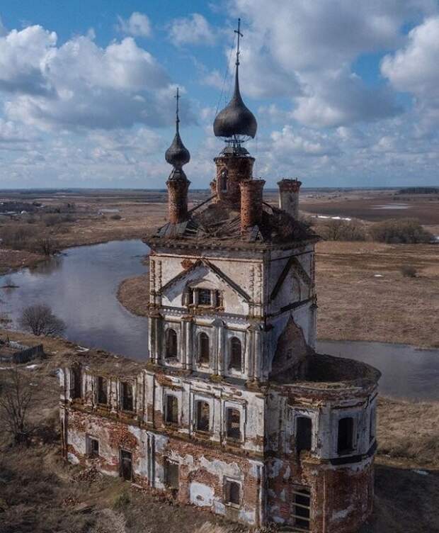 Яркие свидетельства вымирания целых территорий. /Фото: ebaumsworld.com
