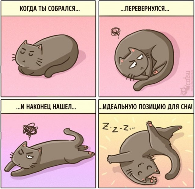 Как меняется жизнь с появлением в доме кота (20 картинок)