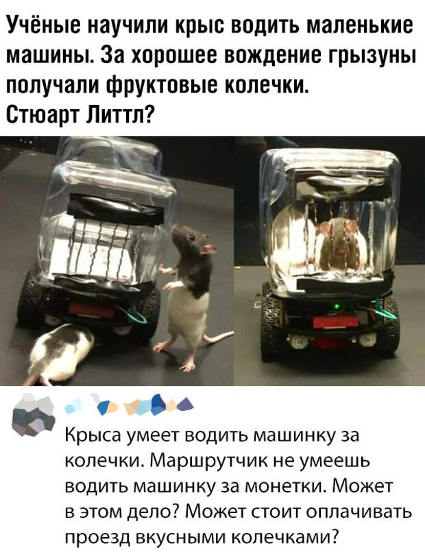 Подборка картинок. Дневной выпуск (30 фото)