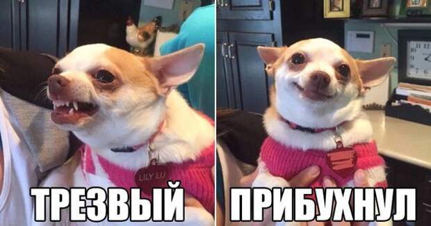 z_r8VwE2dOE