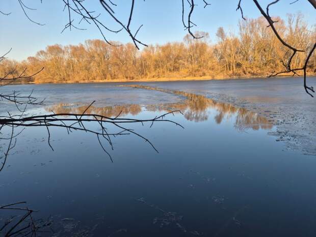 В Муроме на озере Грязнуха утонул 16-летний молодой человек