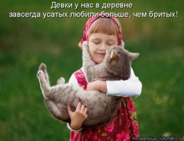 Смешные фотографии из серии "Ой, какая киса"