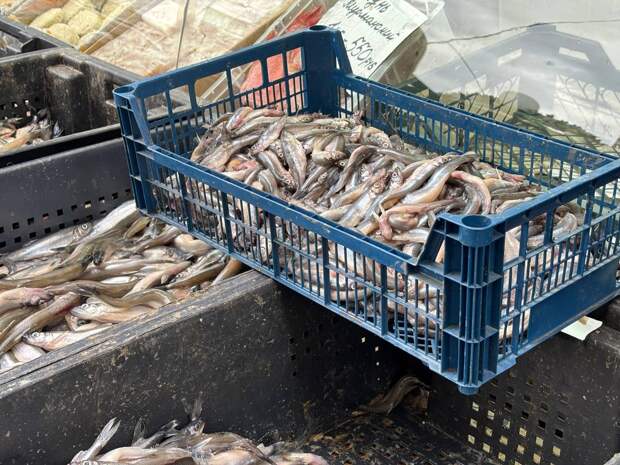 Корюшка в 2026 году не подешевеет