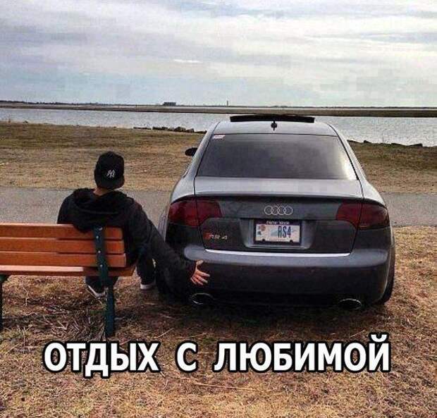 Прикольные картинки