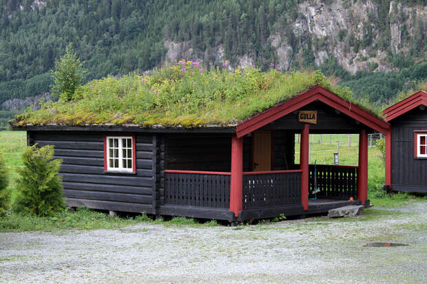 Живые крыши  в Норвегии