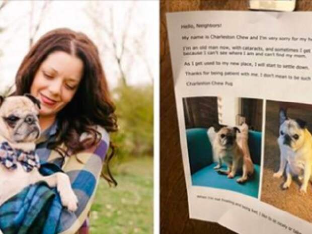 Девушка оставила обращение соседям, в котором извинилась за своего шумного мопса