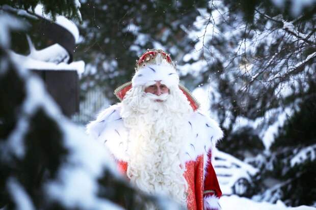 Российский Дед Мороз выступил против мусора