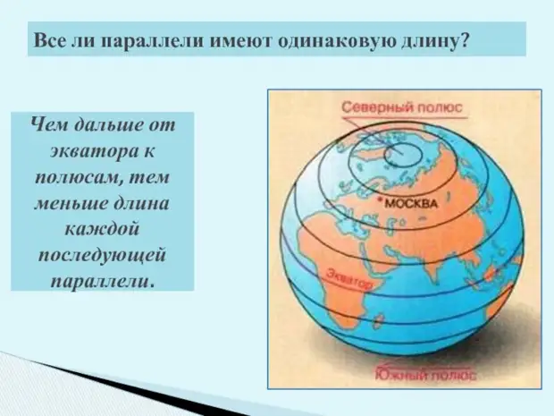 Параллель карта меридиан экватор полюс что лишнее