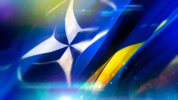 Кедми: Киев готов предать конституцию Украины ради членства в НАТО