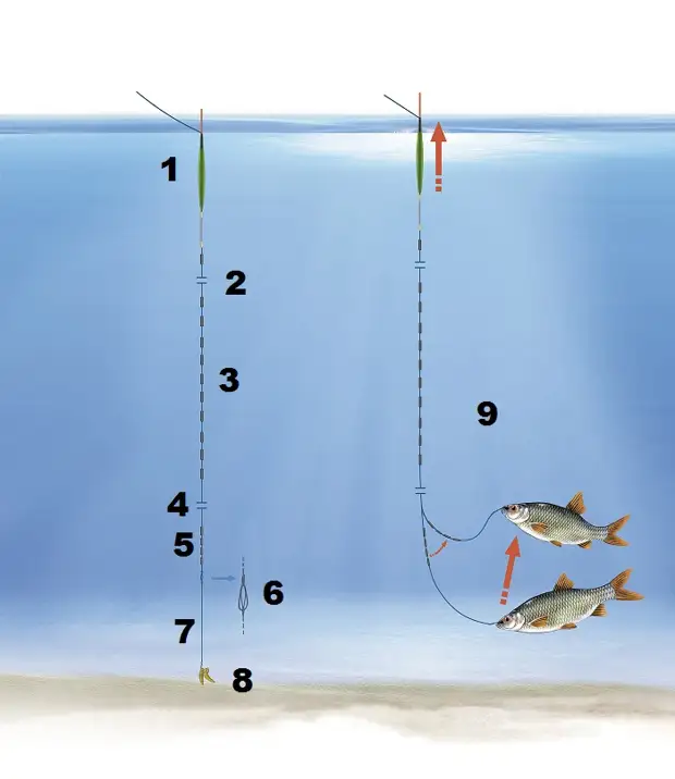 Какое расстояние должно быть от грузила. Огрузка поплавка 1.5 грамма. Оснастка на плотву карася поплавок. Огрузка поплавка удочки. Огрузка скользящих поплавков.