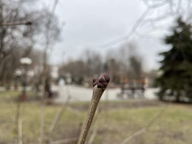 Завтра погода в Астраханской области будет капризной