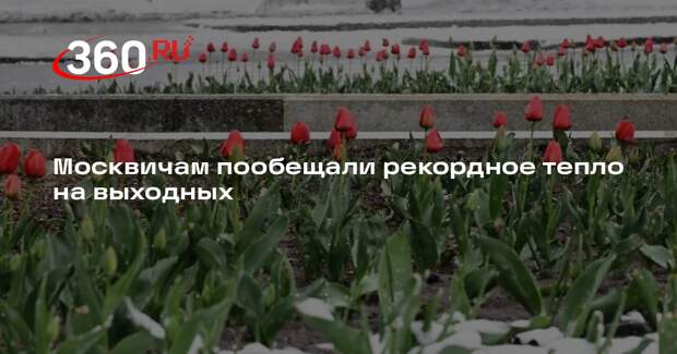 Синоптик Тишковец пообещал рекордные +15 градусов тепла в Москве на выходных