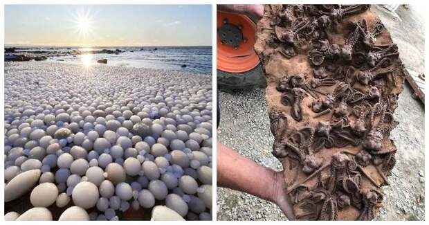 33 редкие и удивительные штуки, которые стоит увидеть хотя бы на фото