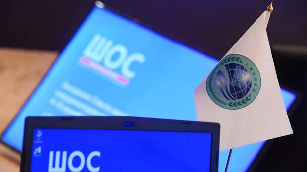 Генсек ШОС высоко оценил инициативу РФ создать совет по устойчивому развитию