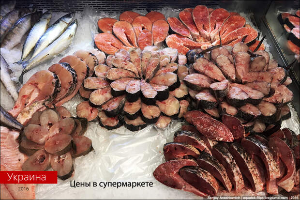 Цены в украинском супермаркете Цены в украинском супермаркете