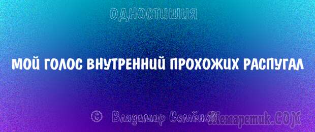 Одностишия, подтверждающие, что краткость – сестра таланта