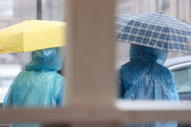 Синоптик Тишковец: на Первомай в Москве ожидаются мокрый снег и холод