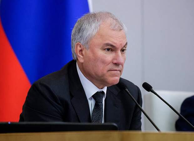 Володин: в ГД внесен проект, которым предлагается передать МВД часть полномочий в вопросах регулирования трудовой миграции