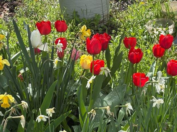 Погода с характером! Дожди и прохлада накрывают Кубань