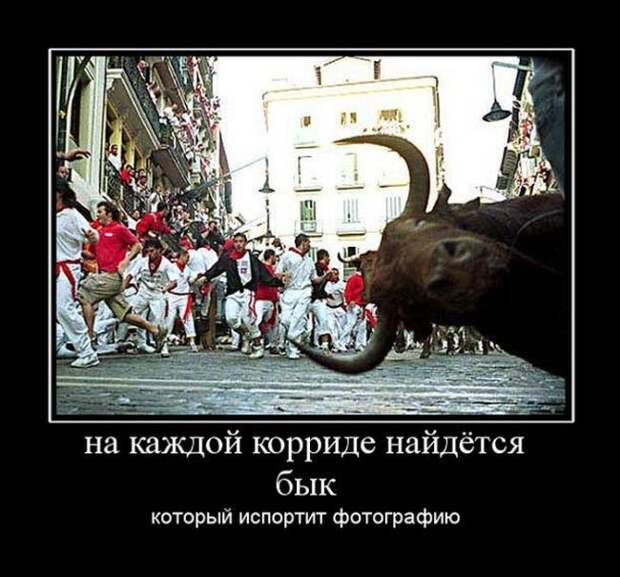 Демотиваторы демотиваторы, прикол, юмор