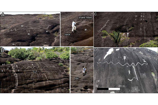 Antiquity: в Колумбии обнаружили 42-метровое изображение змеи возрастом 2000 лет