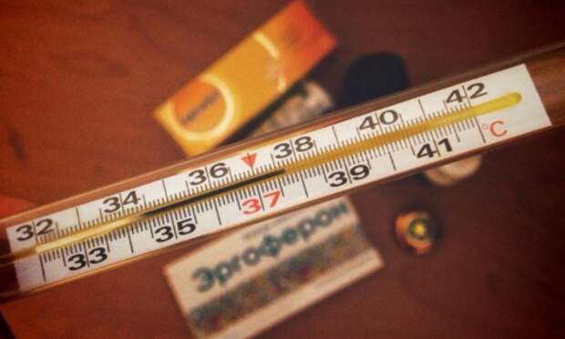 В Архангельской области за сутки выявили 73 новых случая заражения ковидом