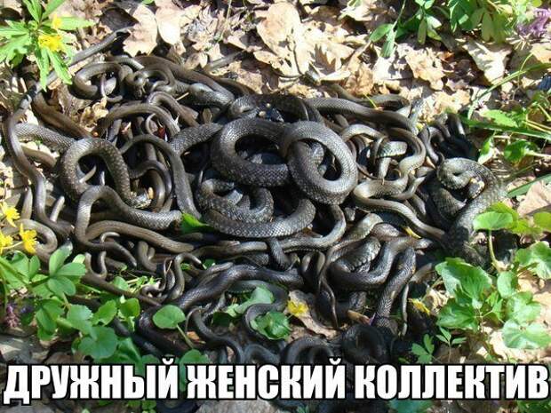 Всё в кучу 26