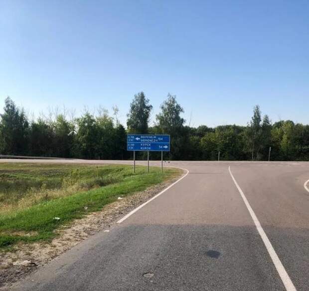 Девушка уже отчаялась поймать песика, брошенного в поле, и аж заплакала