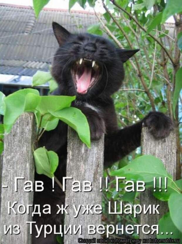 Мысли вслух :)