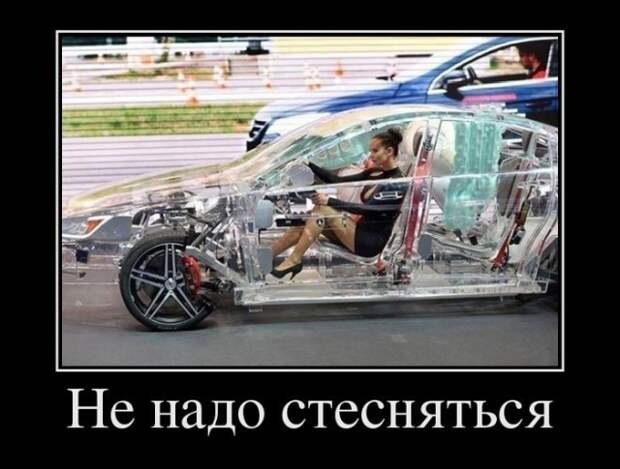 Демотиваторы (20 фото)