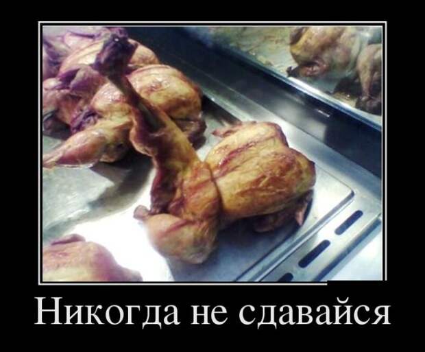 Демотиваторы (30 фото)