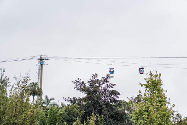San Diego Zoo Spring 2016-20.jpg