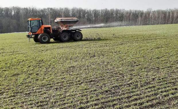 Стало известно сколько посевов погибло в Тульской области из-за заморозков в мае