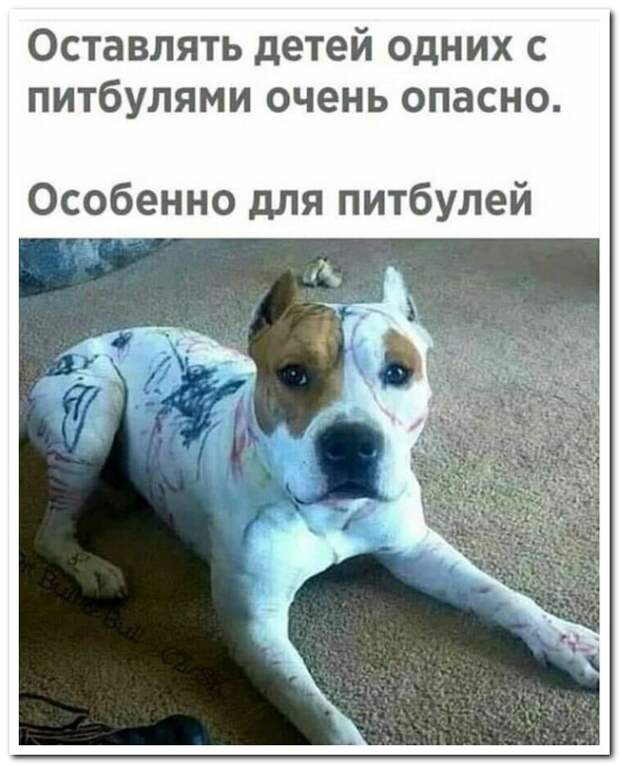 www.vsyako.net