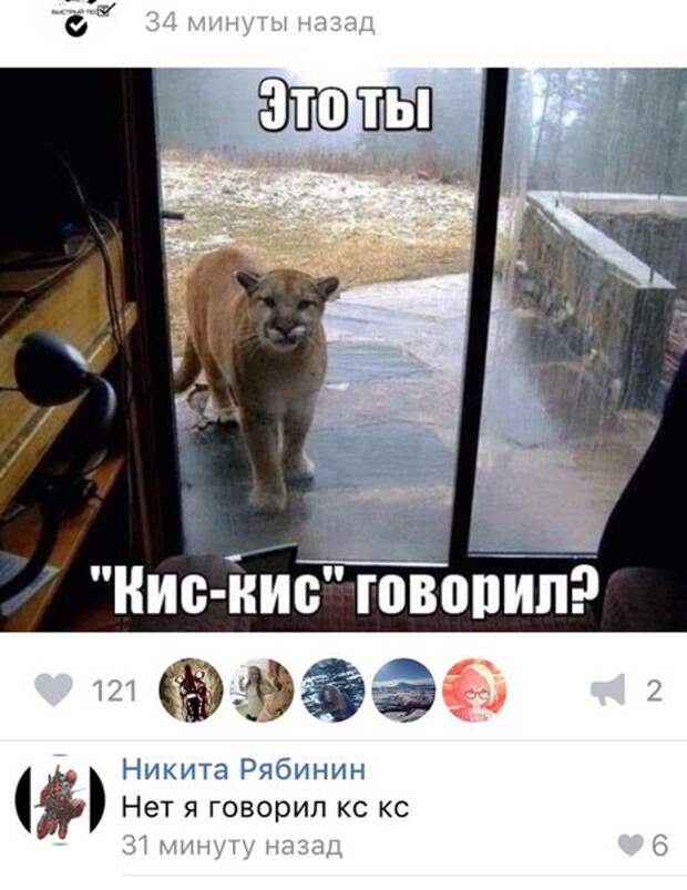 Приколы