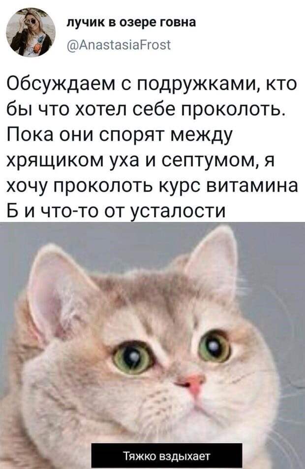 Смешные картинки и фото (30 шт)