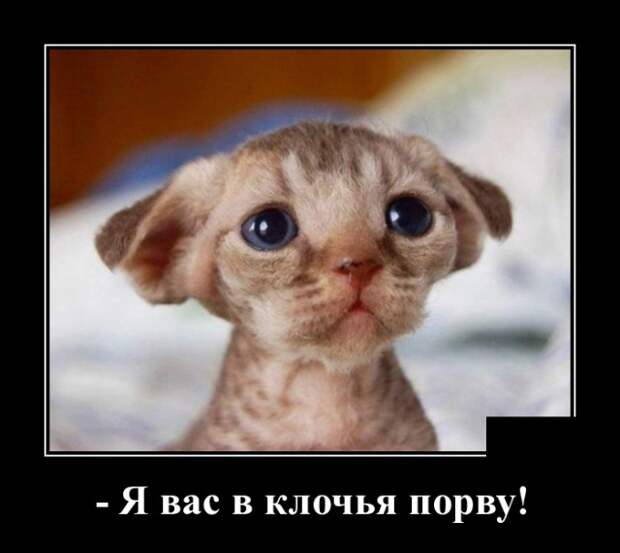 Демотиваторы (30 фото)