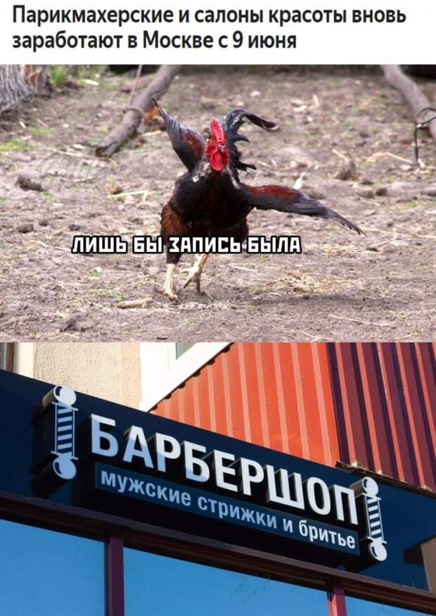 www.vsyako.net