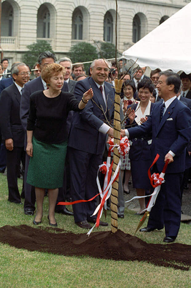 Михаил Горбачев и Раиса Горбачева во время посадки дерева в память о посещении Японии, Токио, 1991 год 