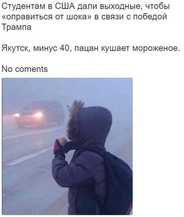 Прикольные картинки Прикольные картинки