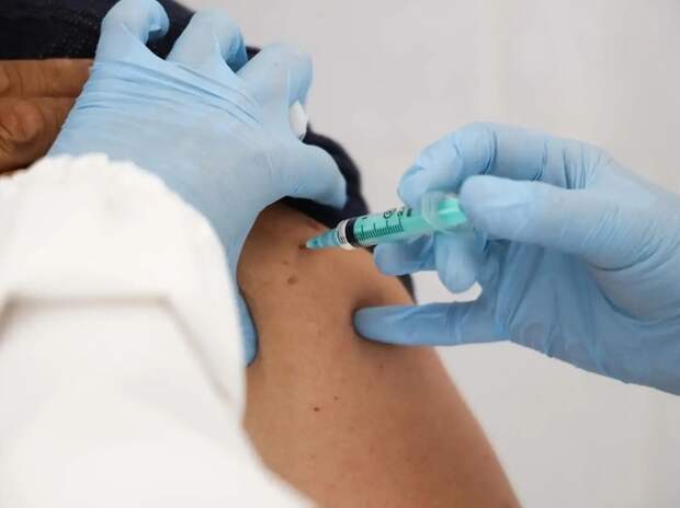 От клещевого энцефалита начали вакцинироваться в Тюменской области