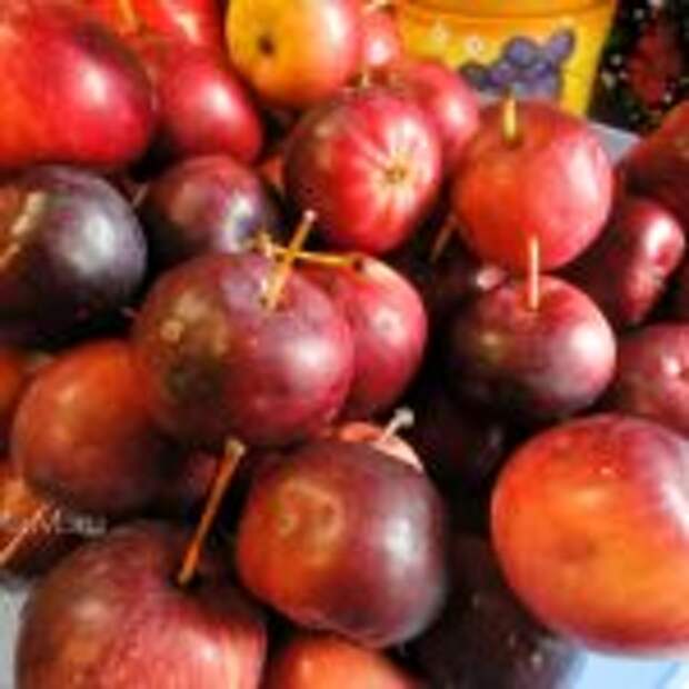 Фото райских яблочек и способ варки варнья