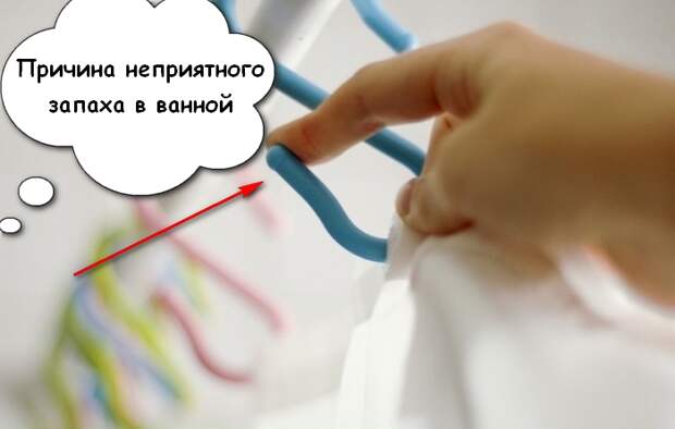 Как правильно постирать шторку для душа и избавиться от запаха сырости в ванной Как правильно постирать шторку для душа и избавиться от запаха сырости в ванной