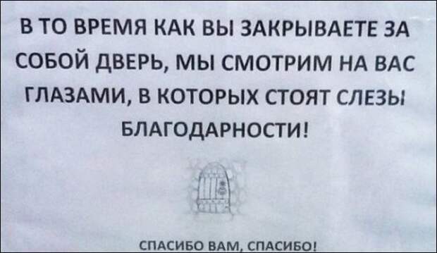 Забавные надписи и объявления для настроения, забавное, прикол, юмор