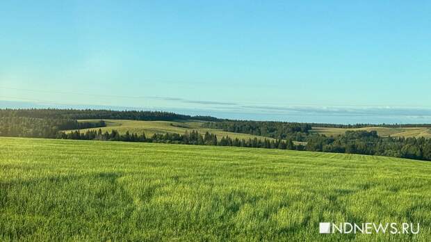 В России с апреля по сентябрь ожидается температура около и выше нормы