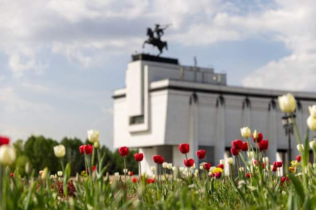 Более 100 картин представят на выставке Музея Победы в Курской области