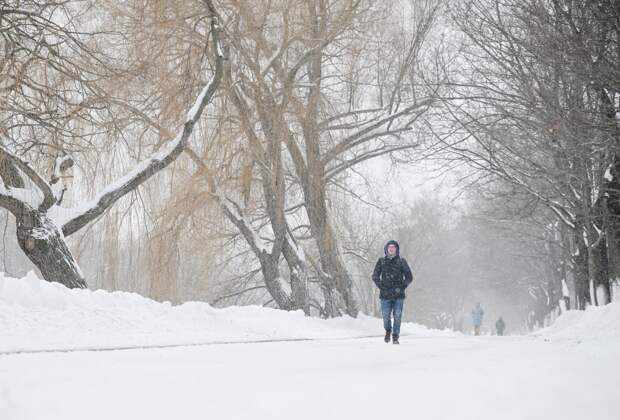 На Центральную Россию обрушились снегопады