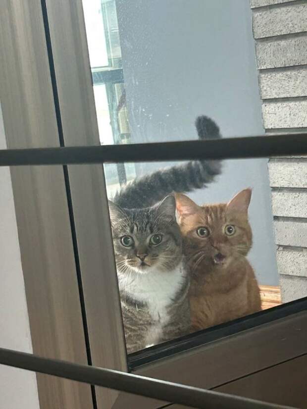 Маленькая пятница: Заряжаемся позитивом и смехом!