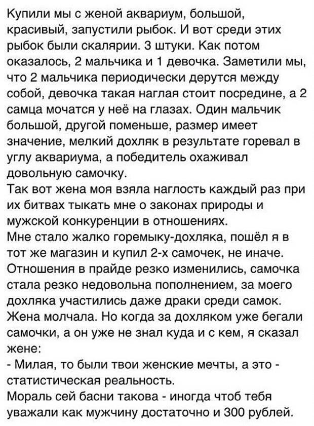 Картинки с надписями, истории и анекдоты