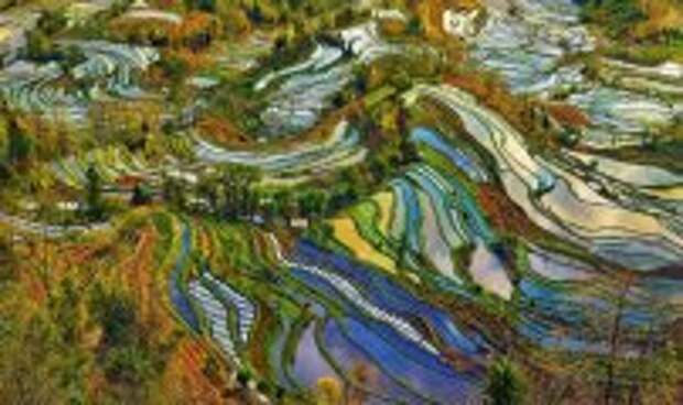 Блог Юрия Хворостова: Как китайцы создают сказочные риссовые террасы на склонах горных вершин